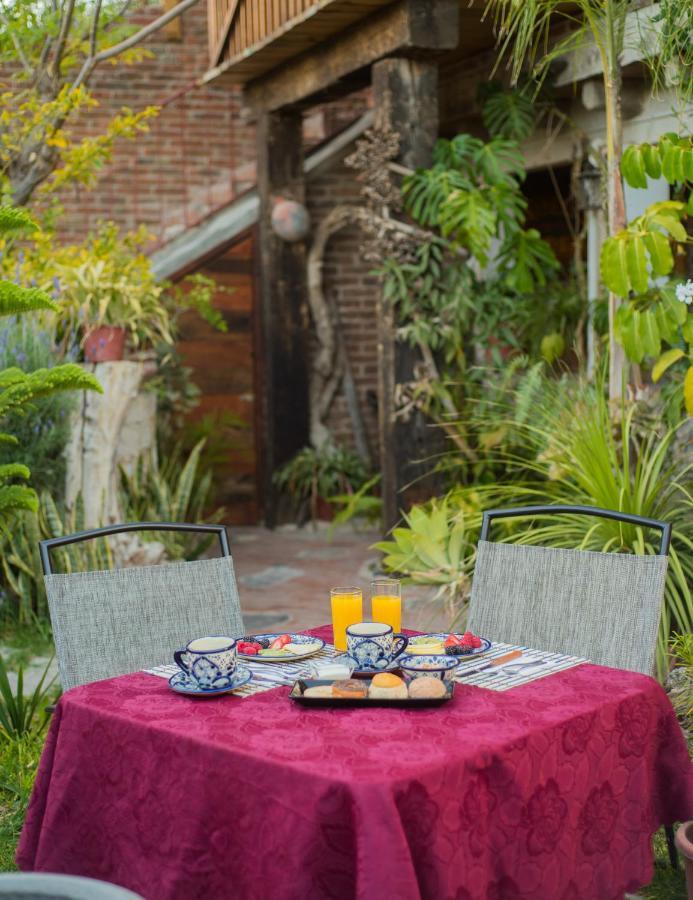 Hotel Colibri Pozos  外观 照片