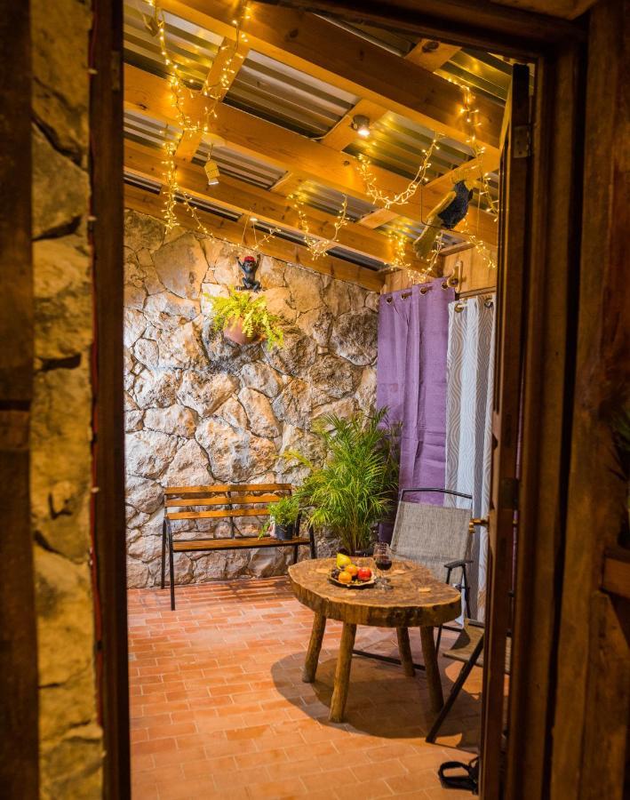 Hotel Colibri Pozos  外观 照片