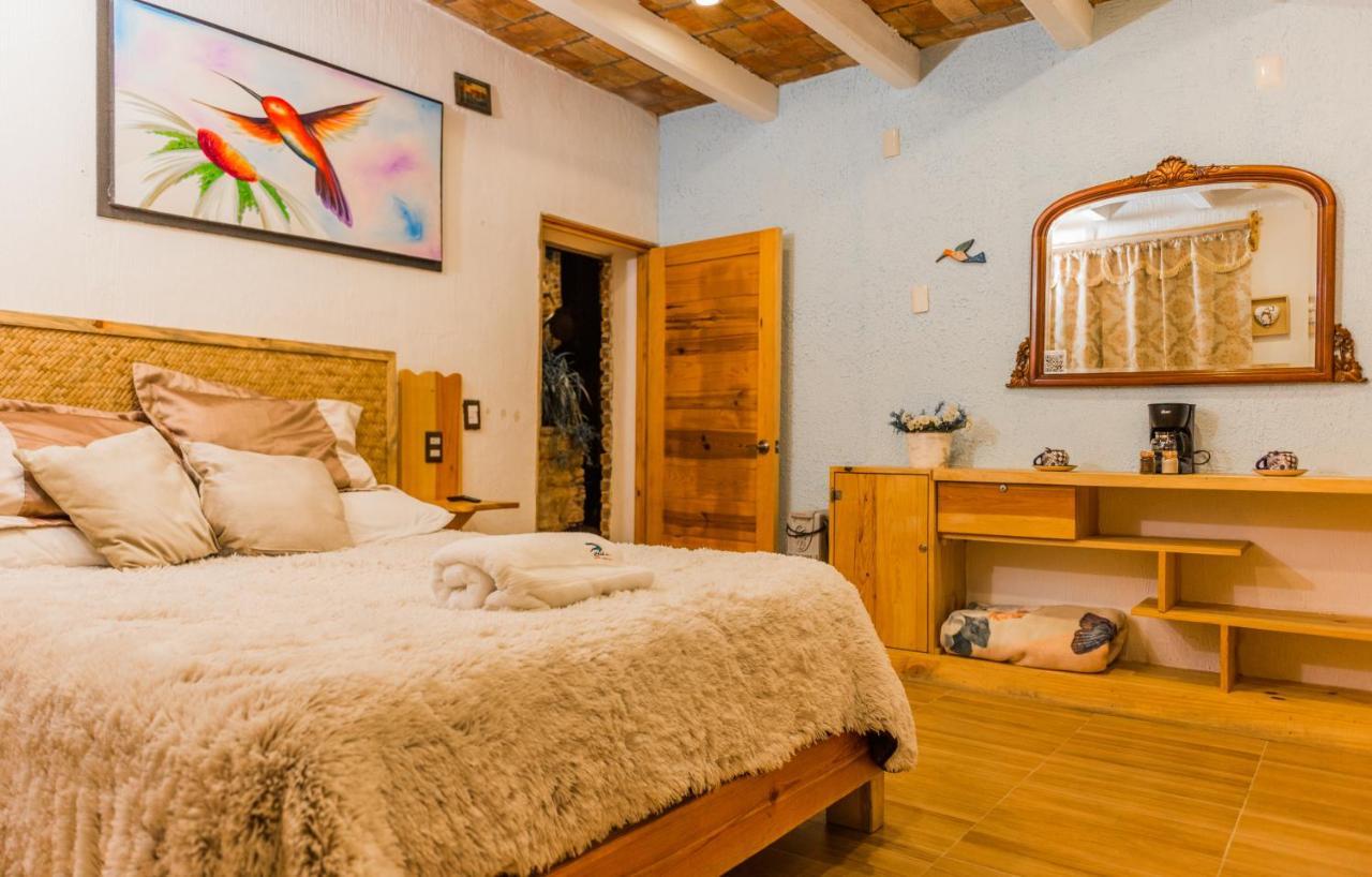 Hotel Colibri Pozos  外观 照片