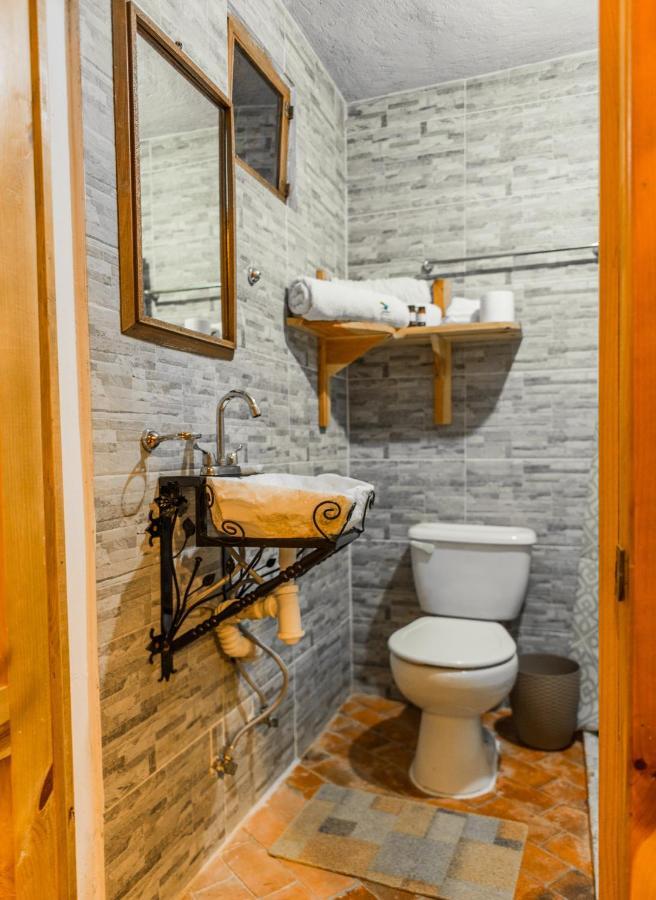 Hotel Colibri Pozos  外观 照片