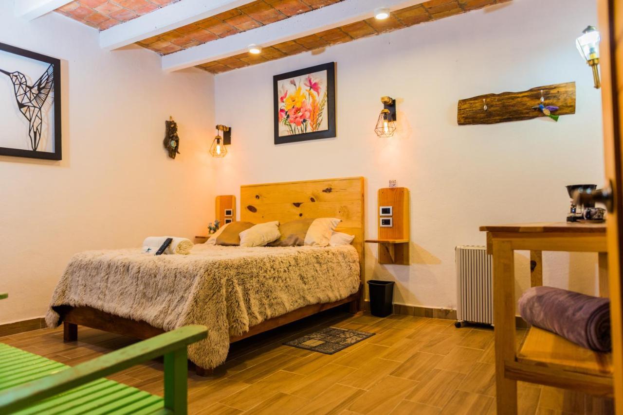 Hotel Colibri Pozos  外观 照片