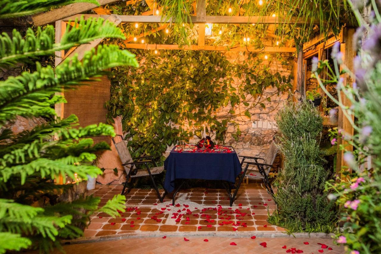 Hotel Colibri Pozos  外观 照片